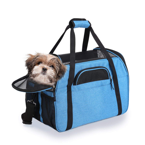 Jespet Pet Carrier & Reviews Wayfair